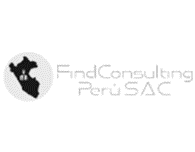 find consulting peru SAC logo